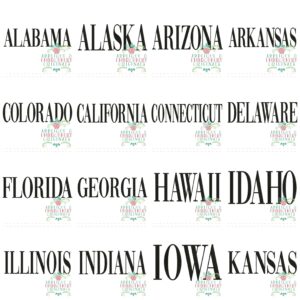 3353 50 States Embroidery Design Set
